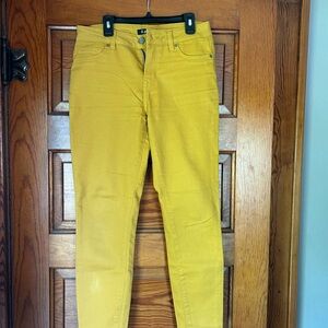 d. jeans Mustard Skinny Jeans for Women
